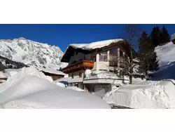 Ferienwohnung Ferienwohnung-1945829 in Dienten am Hochkönig - 3 Personen, Hund erlaubt