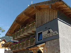 Ferienwohnung Ferienwohnung-2183201 in Gosau - 4 Personen, Hund erlaubt