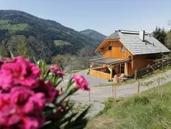 Ferienhaus Ferienhaus-3437381 in Sankt Peter am Kammersberg - 6 Personen, Hund nicht erlaubt