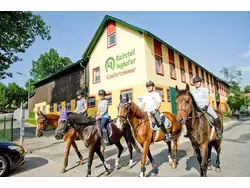 Ferienwohnung Ferienwohnung-1946061 in Bezirk Gmünd - 4 Personen, Hund erlaubt
