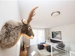 Bild zur gratis inserierten Ferienwohnung Ferienwohnung-2281233.