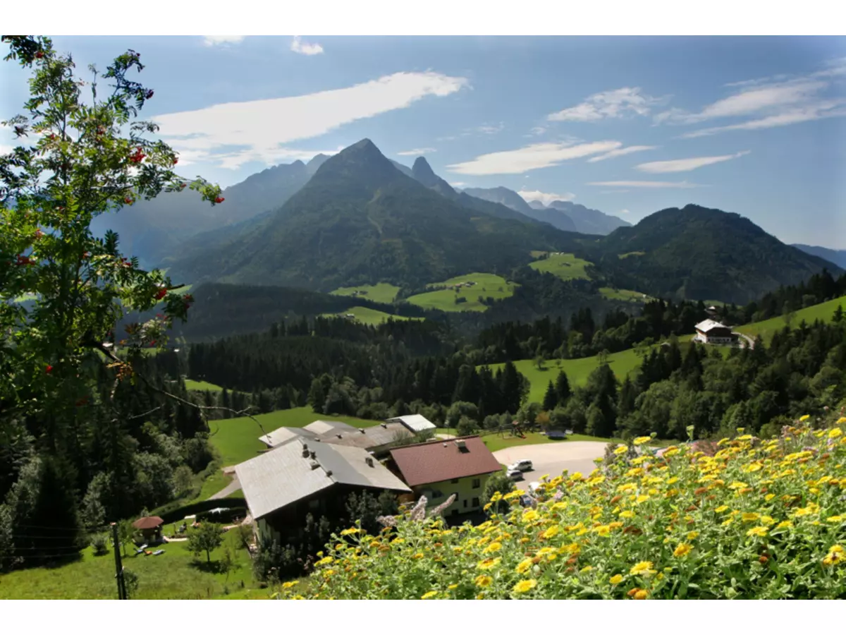 6. Bild Bild-6