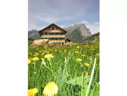 Bild zur gratis inserierten Ferienwohnung Ferienwohnung-1727822.