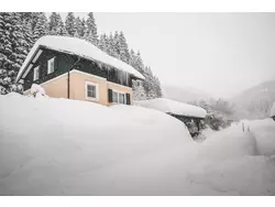 Ferienwohnung Ferienwohnung-1941284 in Bezirk Scheibbs - 5 Personen, Hund erlaubt