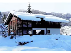 Bild zur gratis inserierten Ferienwohnung Ferienwohnung-1937359.