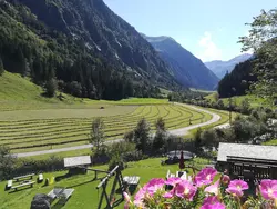 Bild zur gratis inserierten Ferienwohnung Ferienwohnung-3411343.