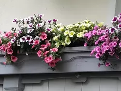 Bild zur gratis inserierten Ferienwohnung Ferienwohnung-3416480.