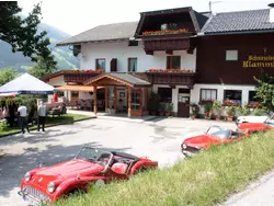 Bild zur gratis inserierten Ferienwohnung Ferienwohnung-3496254.