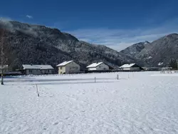 Bild zur gratis inserierten Ferienwohnung Ferienwohnung-1956536.