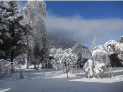 Bild zur gratis inserierten Ferienwohnung Ferienwohnung-3452451.