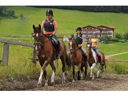 Bild zur gratis inserierten Ferienwohnung Ferienwohnung-3483362.