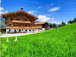 Bild zur gratis inserierten Ferienwohnung Ferienwohnung-3485860.