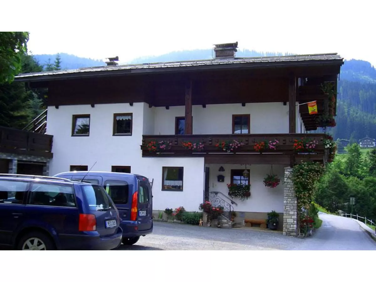 7. Bild Bild-7