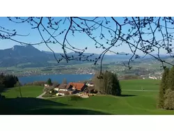 Bild zur gratis inserierten Ferienwohnung Ferienwohnung-1726988.