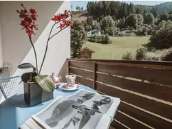 Bild zur gratis inserierten Ferienwohnung Ferienwohnung-3235405.