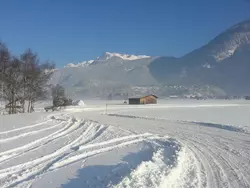 Bild zur gratis inserierten Ferienwohnung Ferienhaus-1942582.