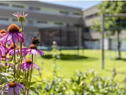 Bild zur gratis inserierten Ferienwohnung Ferienwohnung-2281083.