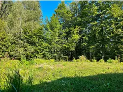 Bild zur gratis inserierten Ferienwohnung Ferienhaus-3326823.