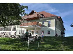 Bild zur gratis inserierten Ferienwohnung Ferienwohnung-1941609.