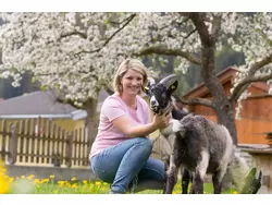 Bild zur gratis inserierten Ferienwohnung Ferienwohnung-3403708.