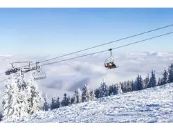 Bild zur gratis inserierten Ferienwohnung Ferienwohnung-1950977.