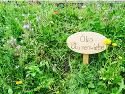 Ferienhaus Ferienhaus-3467136 in Heiligenblut am Großglockner - 6 Personen, Hund erlaubt