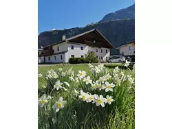 Bild zur gratis inserierten Ferienwohnung Ferienhaus-1942852.