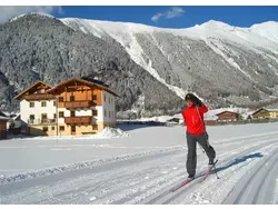 Bild zur gratis inserierten Ferienwohnung Ferienwohnung-1945404.