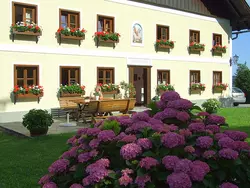 Ferienwohnung Ferienwohnung-2177851 in Weyregg am Attersee - 5 Personen, Hund nicht erlaubt