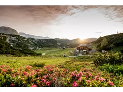 Bild zur gratis inserierten Ferienwohnung Ferienhaus-3505000.