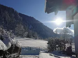 Bild zur gratis inserierten Ferienwohnung Ferienwohnung-1937690.