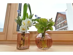 Ferienwohnung Ferienwohnung-3416621 in Bezirk Bregenz - 5 Personen, Hund nicht erlaubt