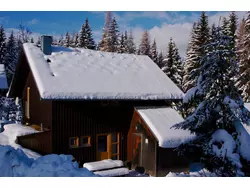 Bild zur gratis inserierten Ferienwohnung Ferienhaus-3542938.