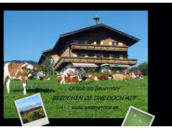 Ferienwohnung Ferienwohnung-3548799 in Bezirk Kitzbühel - 3 Personen, Hund nicht erlaubt