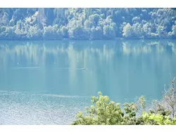 Bild zur gratis inserierten Ferienwohnung Ferienwohnung-3558627.