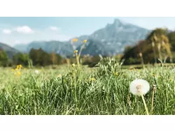 Bild zur gratis inserierten Ferienwohnung Ferienwohnung-3566958.