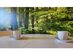 Bild zur gratis inserierten Ferienwohnung Ferienwohnung-3559290.