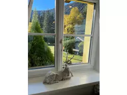 Bild zur gratis inserierten Ferienwohnung Ferienwohnung-2220730.