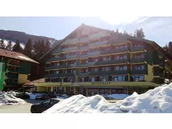 Bild zur gratis inserierten Ferienwohnung Ferienwohnung-3431372.