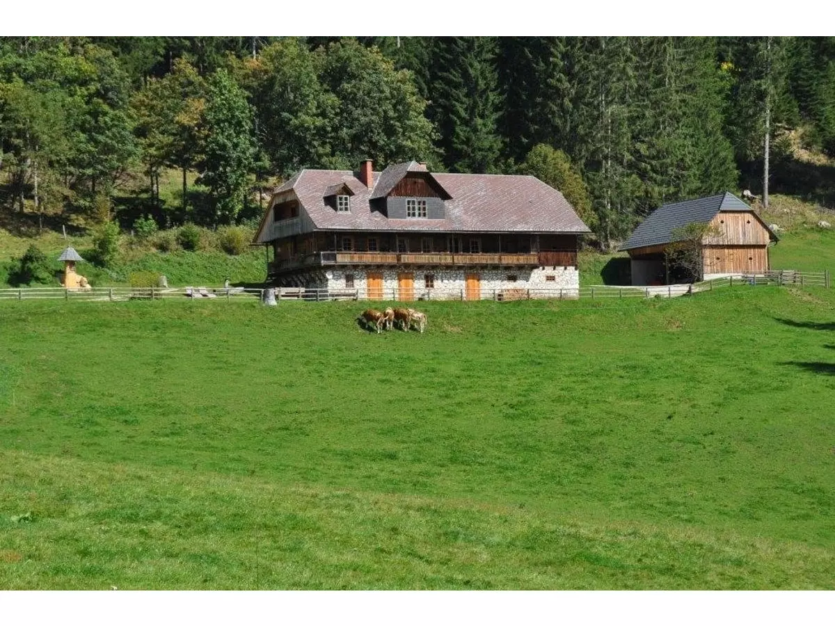 6. Bild Bild-6