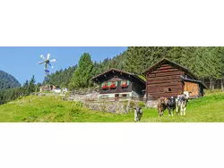 Bild zur gratis inserierten Ferienwohnung Ferienhaus-3556608.