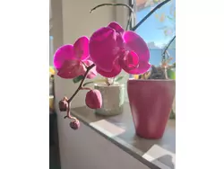 Bild zur gratis inserierten Ferienwohnung Ferienwohnung-3573602.