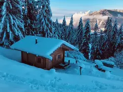 Bild zur gratis inserierten Ferienwohnung Ferienhaus-3516495.