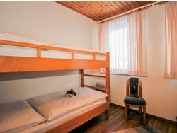 Ferienwohnung Ferienwohnung-10101 in Werfenweng - 6 Personen, Hund erlaubt