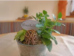 Ferienwohnung Ferienwohnung-48876 in Gemeinde Sölden - 11 Personen, Hund nicht erlaubt