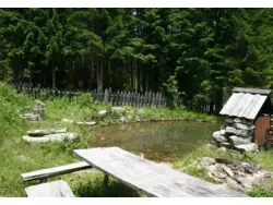 Ferienhaus Ferienhaus-223953 in Sankt Michael im Lungau - 9 Personen, Hund erlaubt