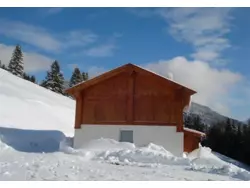 Ferienhaus Ferienhaus-225363 in Viehhofen - 10 Personen, Hund erlaubt