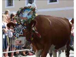 Bild zur gratis inserierten Ferienwohnung Ferienwohnung-372653.