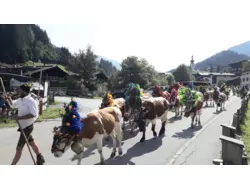 Ferienwohnung Ferienwohnung-420842 in Gemeinde Wildschönau - 4 Personen, Hund nicht erlaubt