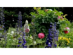 Ferienwohnung Ferienwohnung-431207 in Seeboden am Millstätter See - 4 Personen, Hund erlaubt